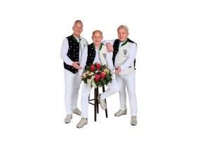 Edlseer Weihnacht.jpg